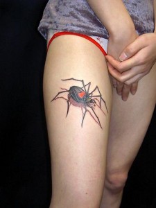 Spider Tattoo Design