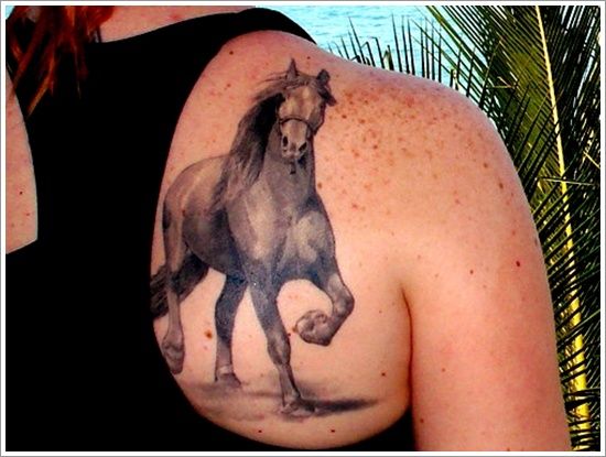  Horse Tattoo Design For Female