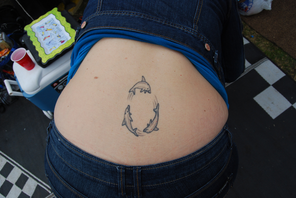 Back dolphin tattoo 2015