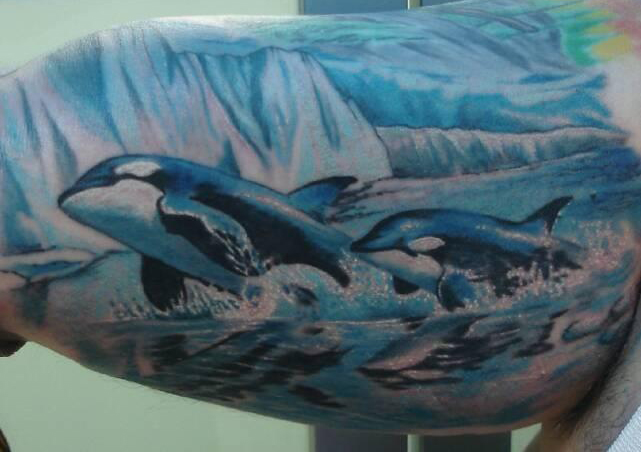 Cool Dolphin Tattoo Design 2015