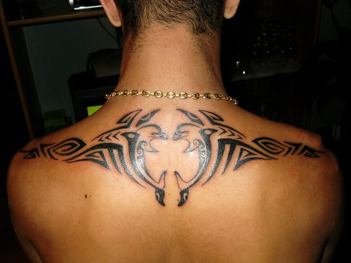 Dolphin Tattoo on upper Back 2015