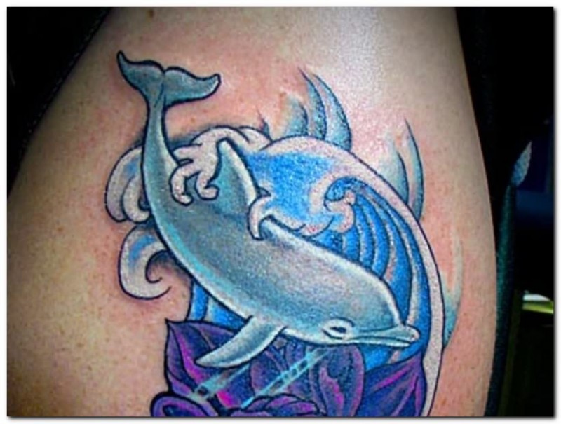 Dolphin tattoo designs 2015