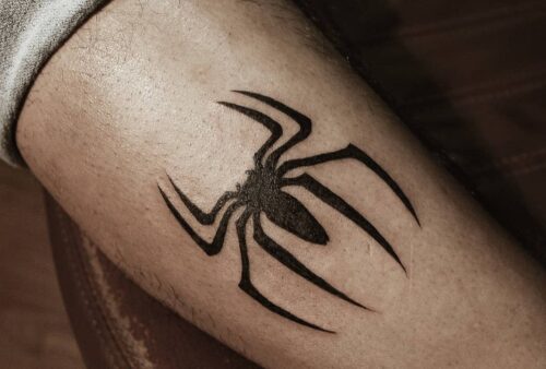 Top 10 Amazing Spider Tattoo Designs